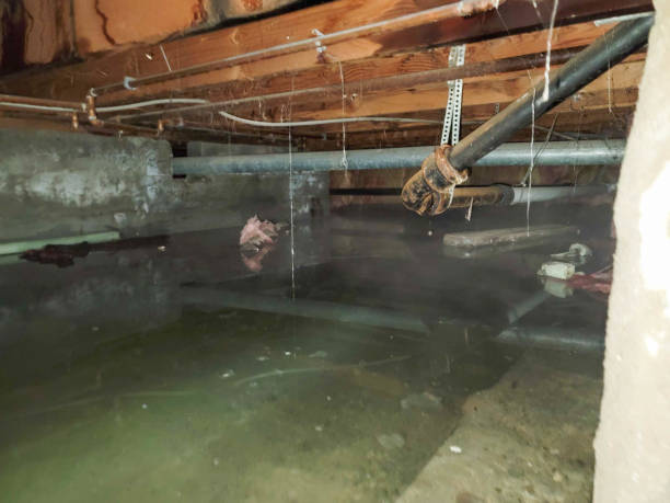 Best Crawl Space Water Damage Solutions in Prior Lake, MN